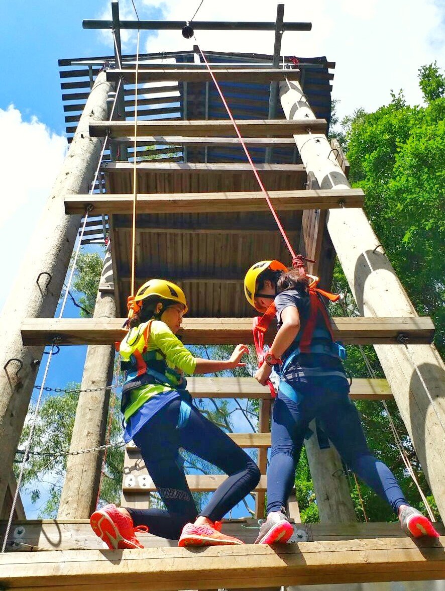 Giant Ladder